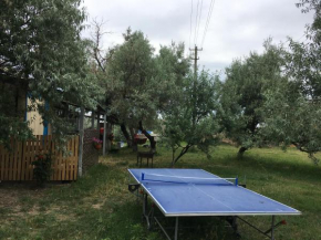 Campsite Zdrava